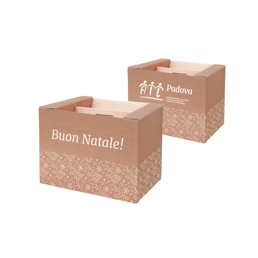 Valigetta AIL